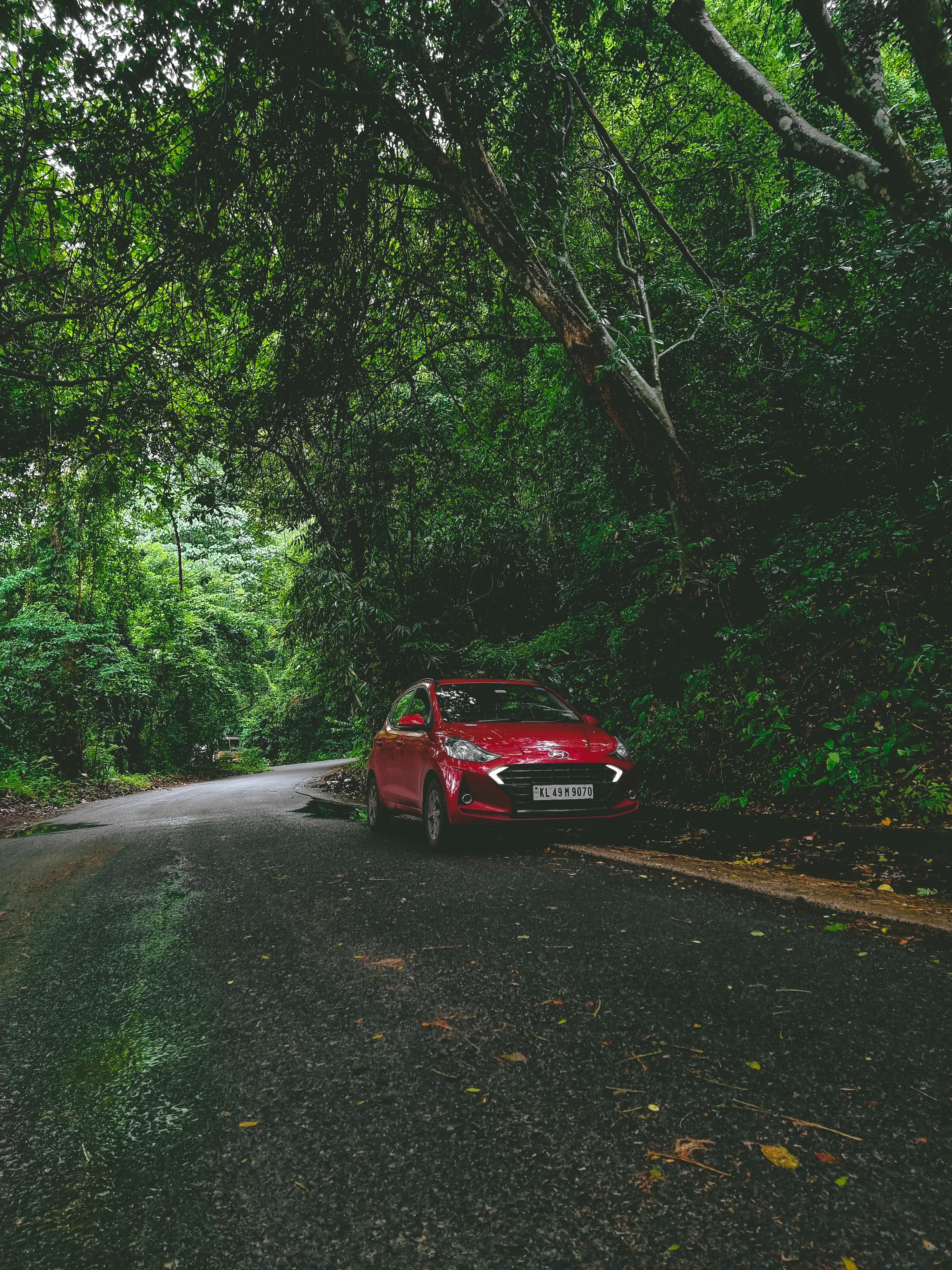 Nos véhicules d'occasion